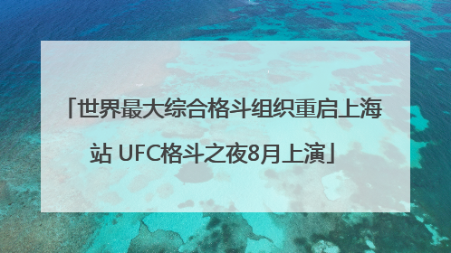 世界最大综合格斗组织重启上海站 UFC格斗之夜8月上演