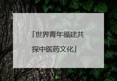 世界青年福建共探中医药文化