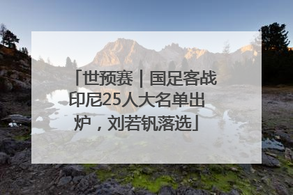 世预赛｜国足客战印尼25人大名单出炉，刘若钒落选