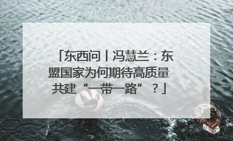 东西问丨冯慧兰：东盟国家为何期待高质量共建“一带一路”？