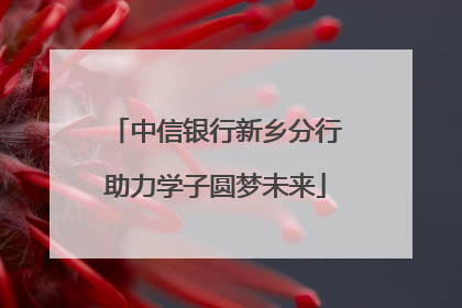 中信银行新乡分行助力学子圆梦未来