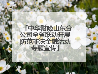 中华财险山东分公司全省联动开展防范非法金融活动专题宣传