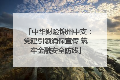 中华财险锦州中支：党建引领消保宣传 筑牢金融安全防线