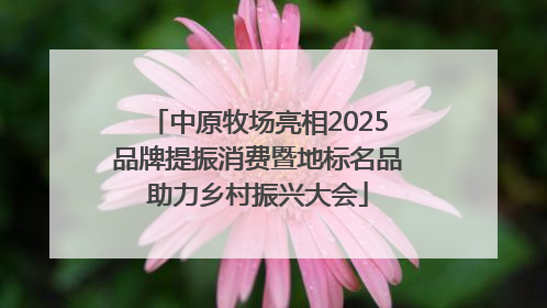中原牧场亮相2025品牌提振消费暨地标名品助力乡村振兴大会