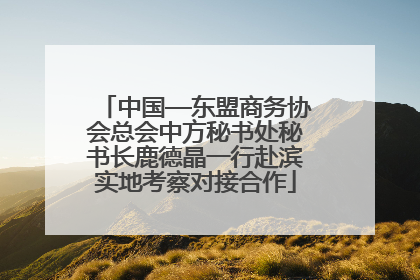 中国—东盟商务协会总会中方秘书处秘书长鹿德晶一行赴滨实地考察对接合作
