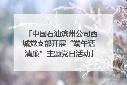 中国石油滨州公司西城党支部开展“端午话清廉”主题党日活动