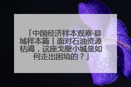 中国经济样本观察·县域样本篇丨面对石油资源枯竭，这座戈壁小城是如何走出困境的？