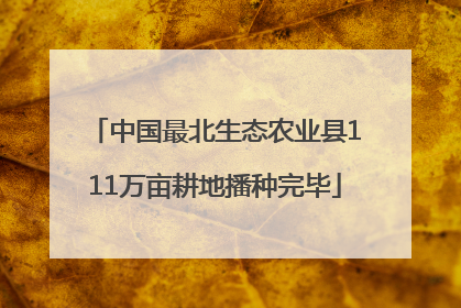 中国最北生态农业县111万亩耕地播种完毕