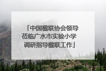 中国楹联协会领导莅临广水市实验小学调研指导楹联工作