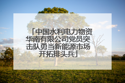 中国水利电力物资华南有限公司党员突击队勇当新能源市场开拓排头兵