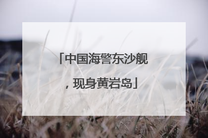 中国海警东沙舰，现身黄岩岛