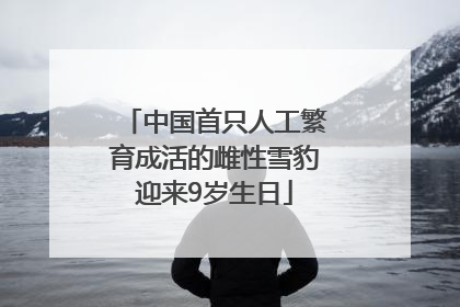 中国首只人工繁育成活的雌性雪豹迎来9岁生日