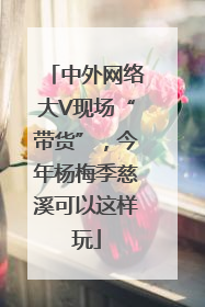中外网络大V现场“带货”，今年杨梅季慈溪可以这样玩