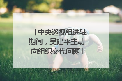 中央巡视组进驻期间，吴建平主动向组织交代问题