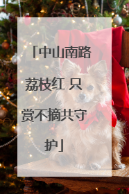 中山南路荔枝红 只赏不摘共守护