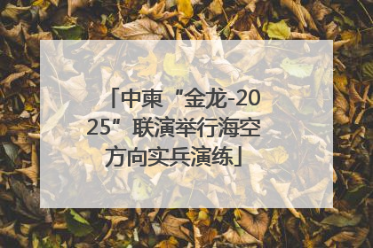 中柬“金龙-2025”联演举行海空方向实兵演练