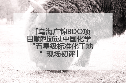 乌海广锦BDO项目顺利通过中国化学“五星级标准化工地”现场初评