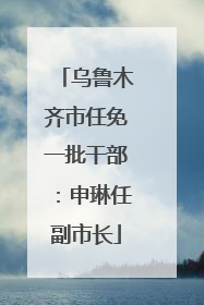 乌鲁木齐市任免一批干部：申琳任副市长