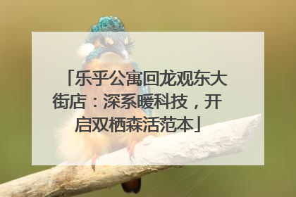 乐乎公寓回龙观东大街店：深系暖科技，开启双栖森活范本