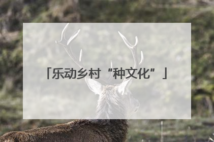 乐动乡村“种文化”