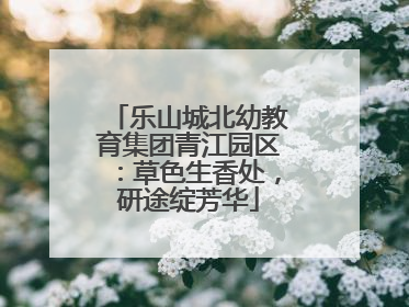 乐山城北幼教育集团青江园区：草色生香处，研途绽芳华