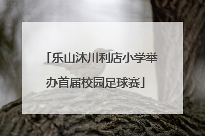 乐山沐川利店小学举办首届校园足球赛