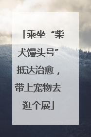 乘坐“柴犬馒头号”抵达治愈，带上宠物去逛个展