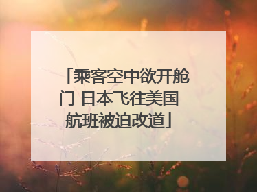 乘客空中欲开舱门 日本飞往美国航班被迫改道