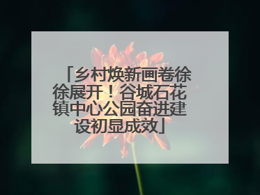 乡村焕新画卷徐徐展开！谷城石花镇中心公园奋进建设初显成效