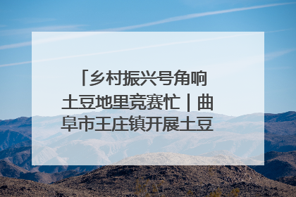 乡村振兴号角响 土豆地里竞赛忙｜曲阜市王庄镇开展土豆收获劳动竞赛