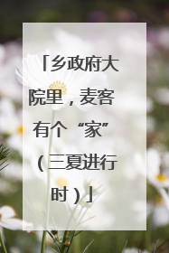 乡政府大院里，麦客有个“家”（三夏进行时）