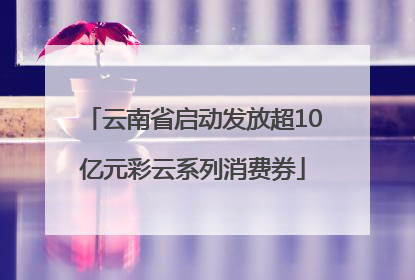 云南省启动发放超10亿元彩云系列消费券