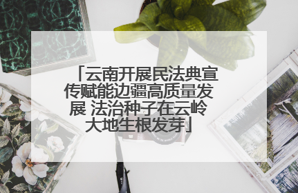 云南开展民法典宣传赋能边疆高质量发展 法治种子在云岭大地生根发芽