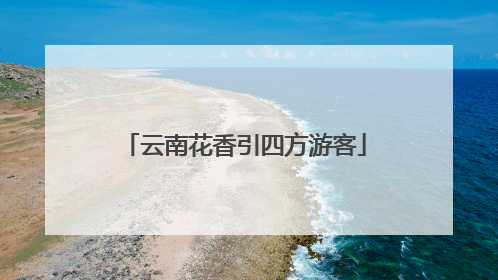 云南花香引四方游客