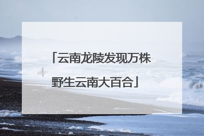 云南龙陵发现万株野生云南大百合