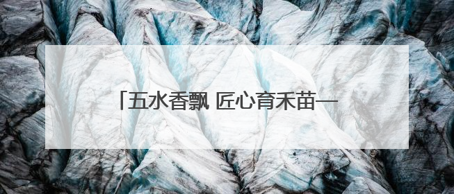 五水香飘 匠心育禾苗——五河县东刘集中心小学劳动教育实践成果展暨夏集小学首届美食节盛大举行
