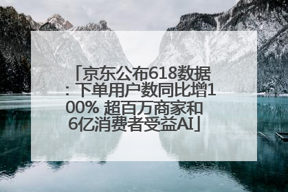 京东公布618数据：下单用户数同比增100% 超百万商家和6亿消费者受益AI