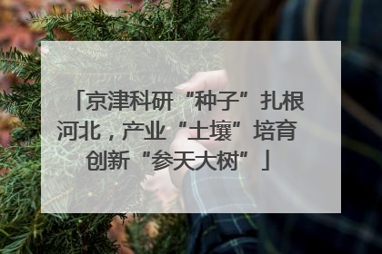 京津科研“种子”扎根河北，产业“土壤”培育创新“参天大树”
