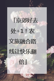京郊好去处+1！农文旅融合路线让快乐翻倍