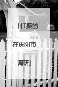 任振鹤在庆阳市调研