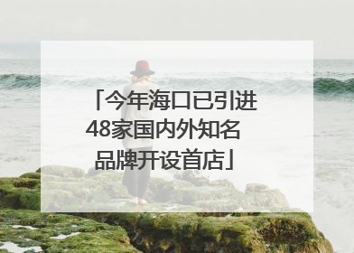 今年海口已引进48家国内外知名品牌开设首店