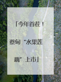今年首茬！蔡甸“水果莲藕”上市