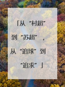 从“村超”到“苏超”，从“追球”到“追求”