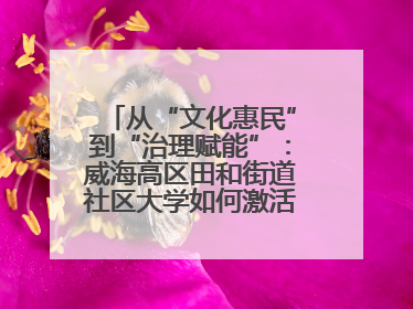 从“文化惠民”到“治理赋能”：威海高区田和街道社区大学如何激活基层服务新动能
