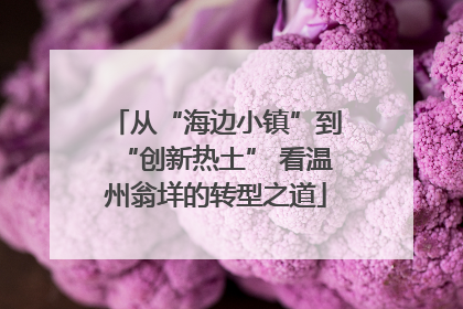 从“海边小镇”到“创新热土” 看温州翁垟的转型之道