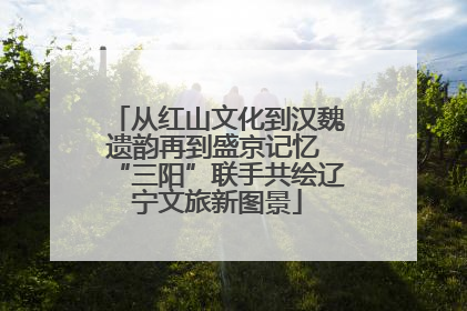 从红山文化到汉魏遗韵再到盛京记忆 “三阳”联手共绘辽宁文旅新图景