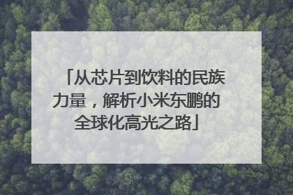 从芯片到饮料的民族力量，解析小米东鹏的全球化高光之路