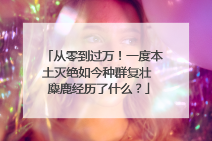 从零到过万！一度本土灭绝如今种群复壮 麋鹿经历了什么？