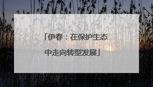 伊春：在保护生态中走向转型发展
