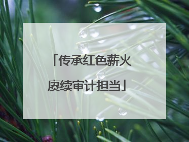 传承红色薪火 赓续审计担当